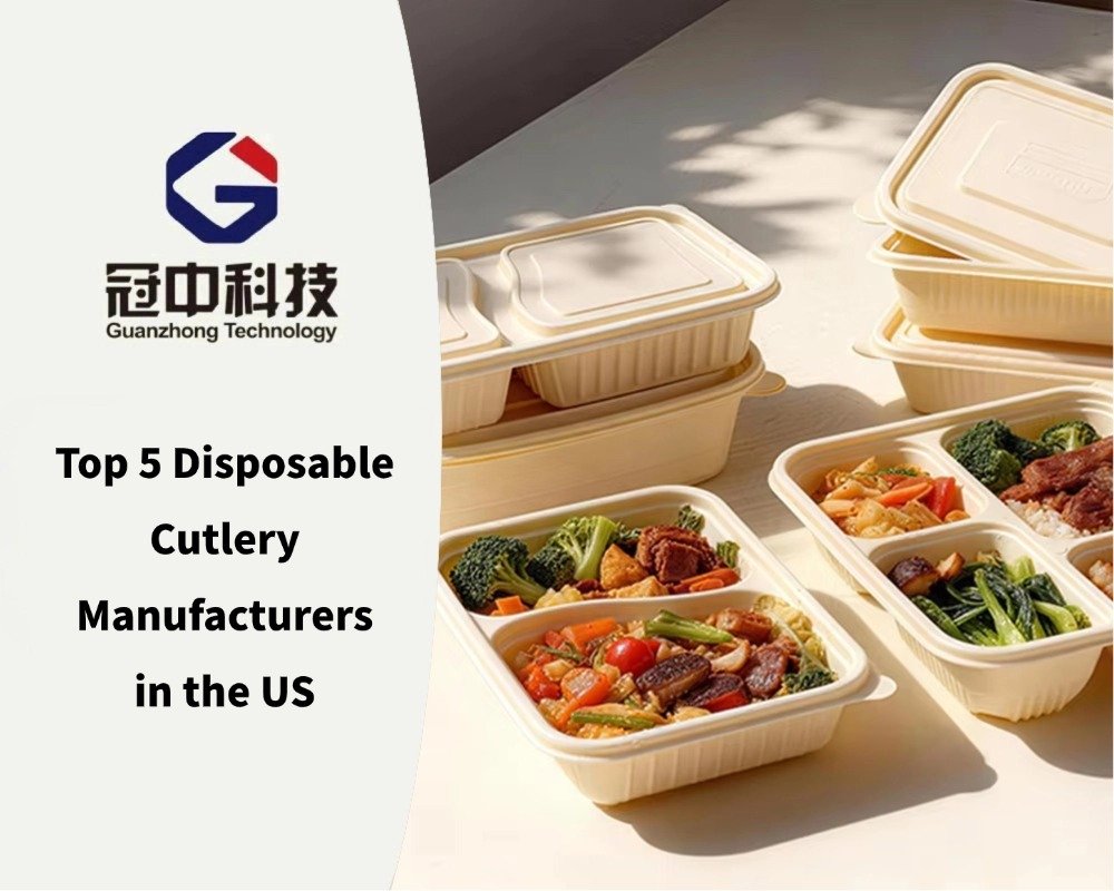 Top 5 Disposable Cutlery Manufacturers in the US