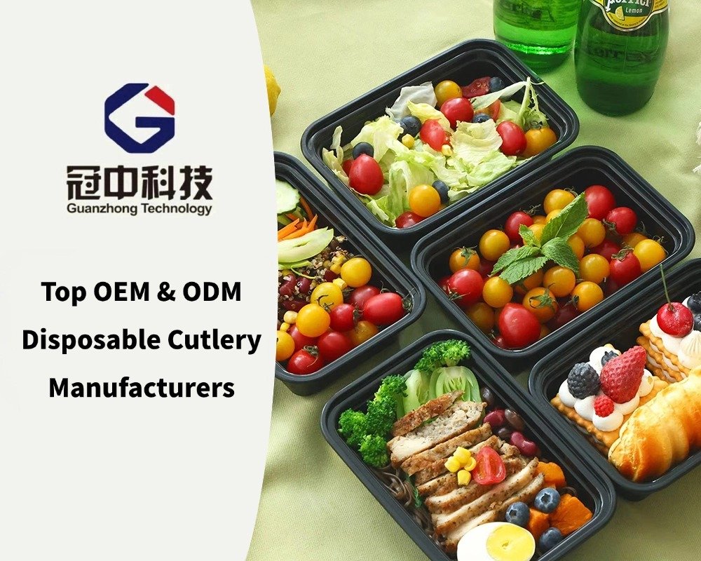 Top OEM & ODM Disposable Cutlery Manufacturers
