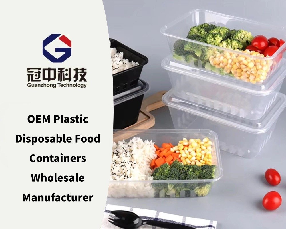 OEM Plastic Disposable Food Containers Wholesale Manufacturer