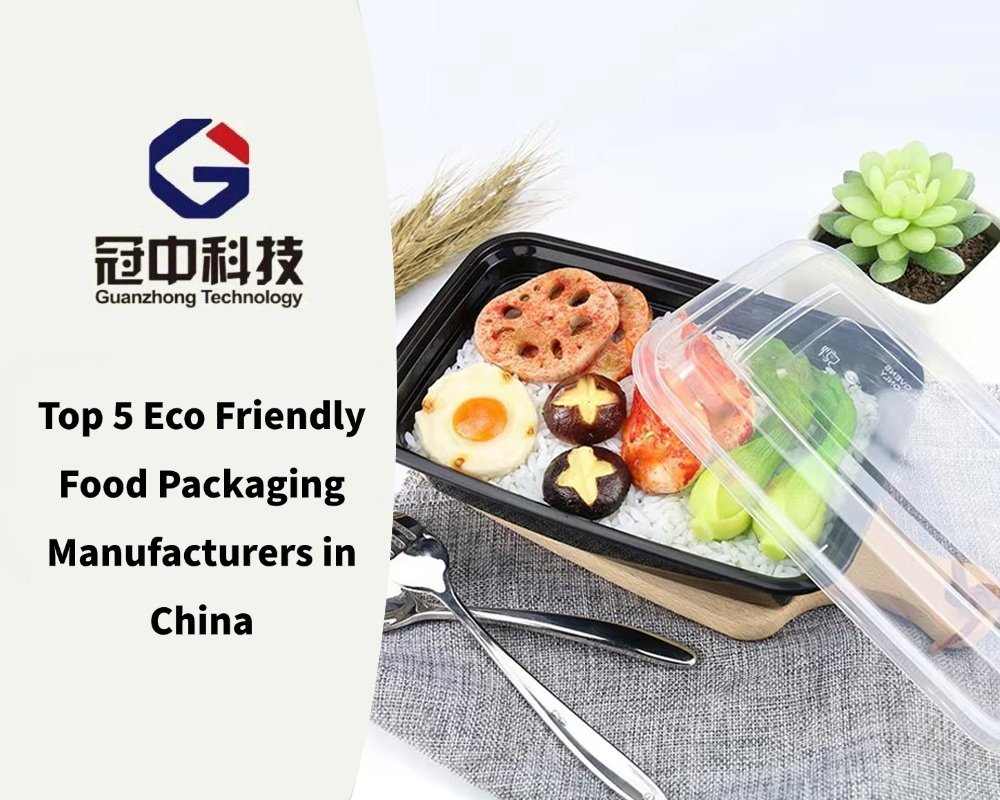 Top 5 Eco Friendly Food Packaging Manufacturers in China