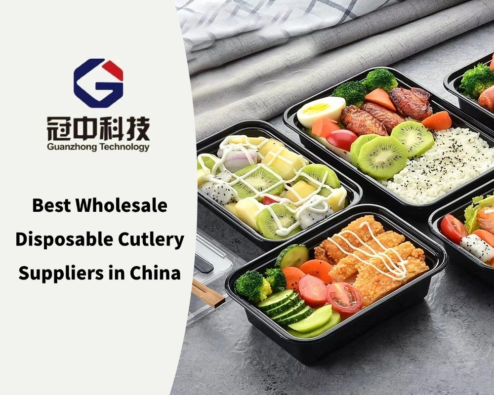 Best Wholesale Disposable Cutlery Suppliers in China