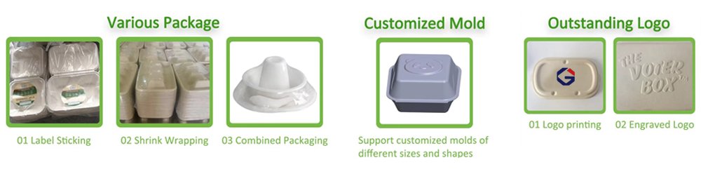 Biodegradable Food Containers Manufacturer OEM ODM Solutions