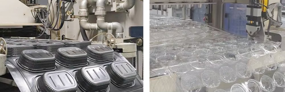 Guanzhong Plastic Cutlery Suppliers Manufacturing Process