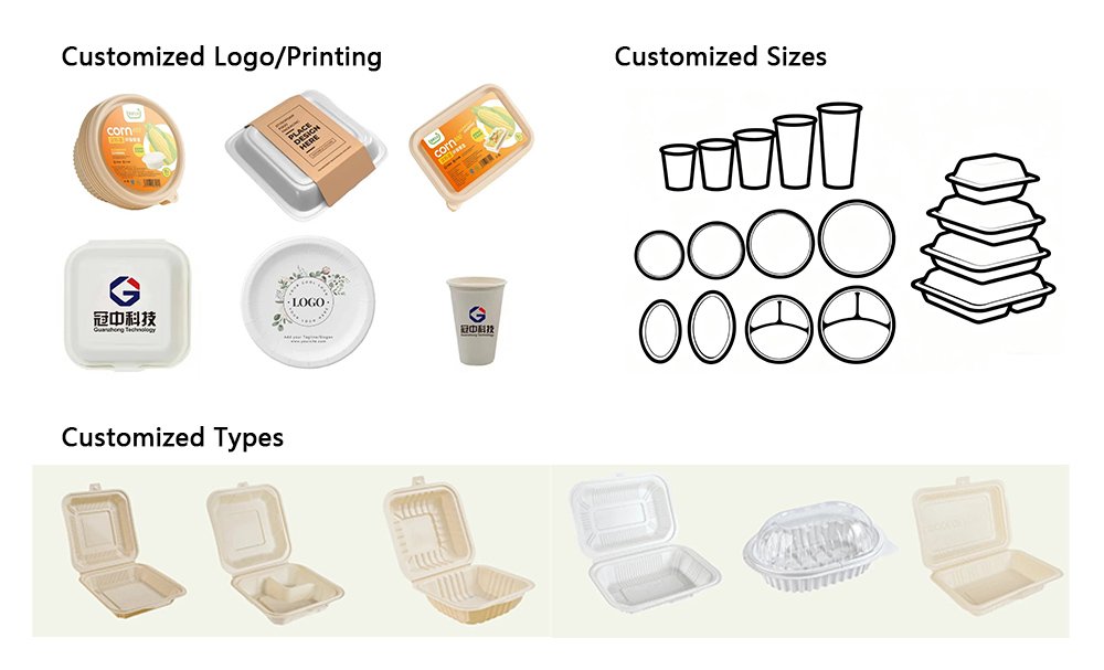 Disposable Bento Boxes Wholesale Custom Services