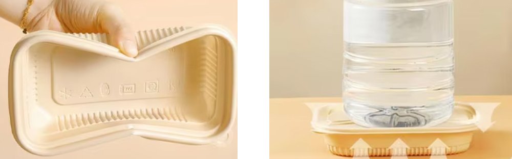 Disposable Bento Boxes Wholesale Quality Control