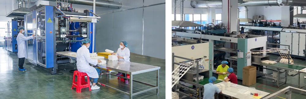 Disposable Food Container Manufacturers Manufacturing Lines