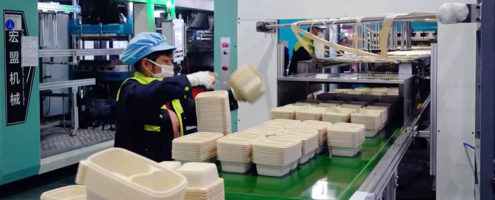 Disposable Food Packaging Supplier Production Lines