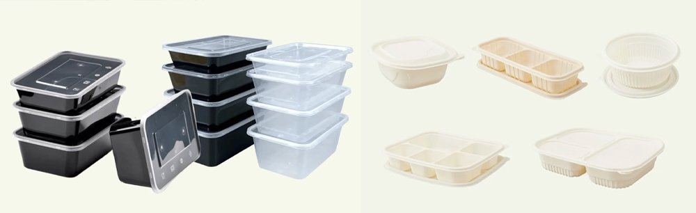 Disposable Food Packaging Suppliers Product Showcase