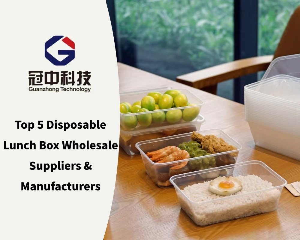 Top 5 Disposable Lunch Box Wholesale Suppliers & Manufacturers