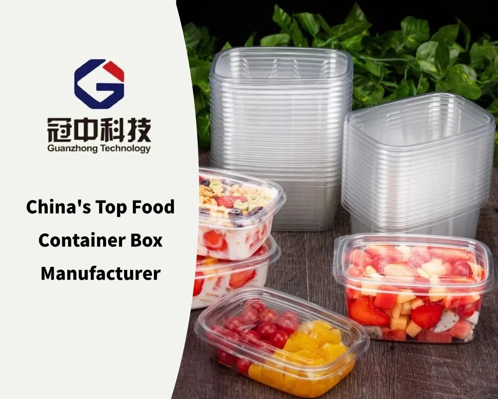China Top Food Container Box Manufacturer