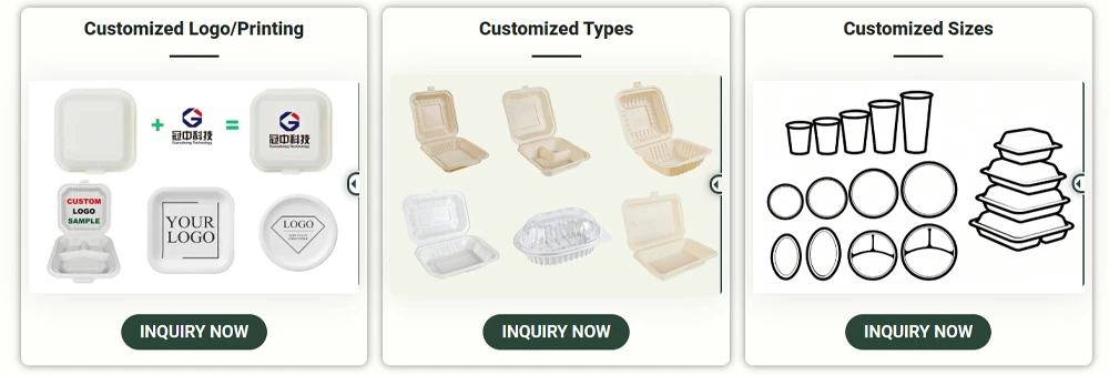 Disposable Food Packaging Suppliers Customized