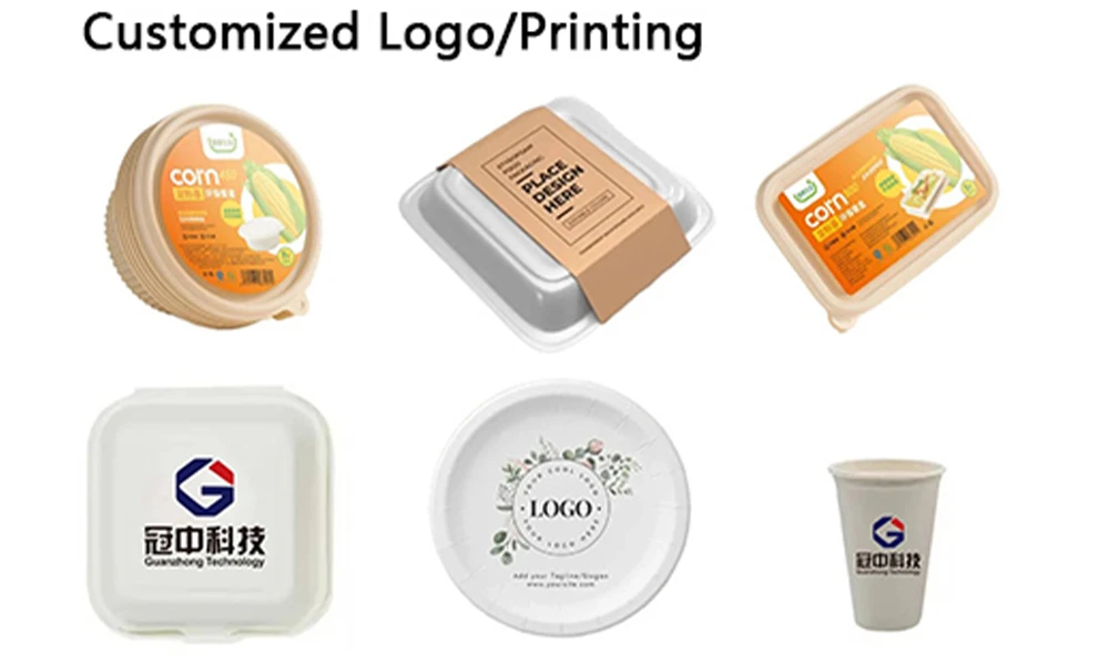 Disposable Plastic Container Manufacturer Customization