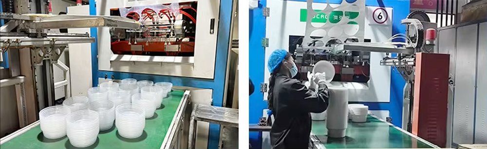 Food Container Box Manufacturer Manufacturing