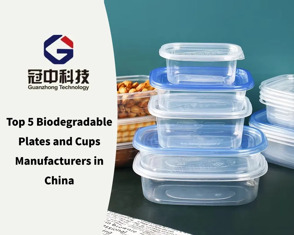 Top 5 Biodegradable Plates and Cups Manufacturers in China