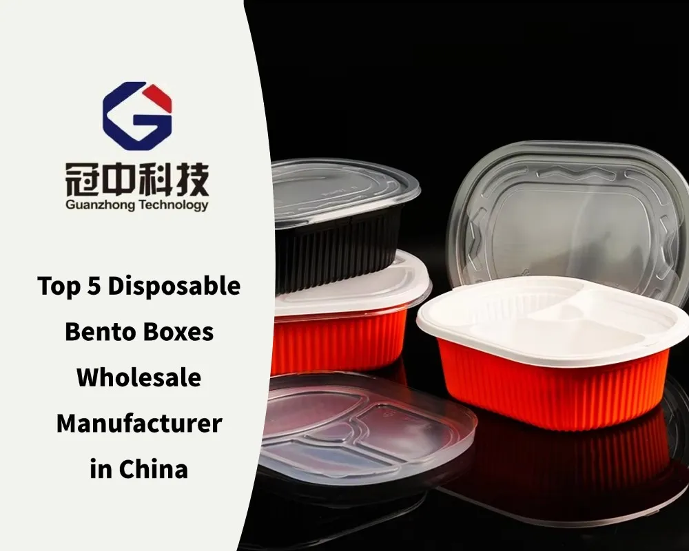 Top 5 Disposable Bento Boxes Wholesale Manufacturer in China